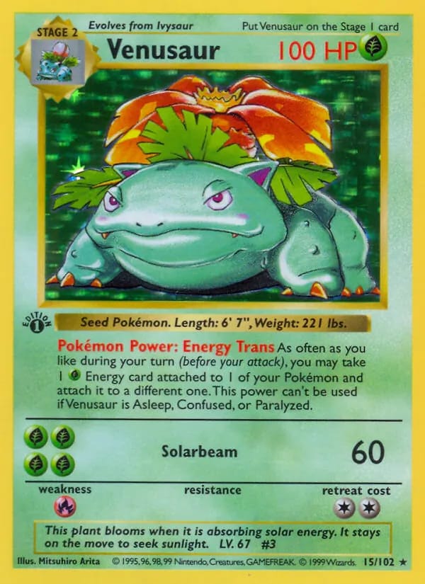 Venusaur (Base Set) — Raw · ungraded